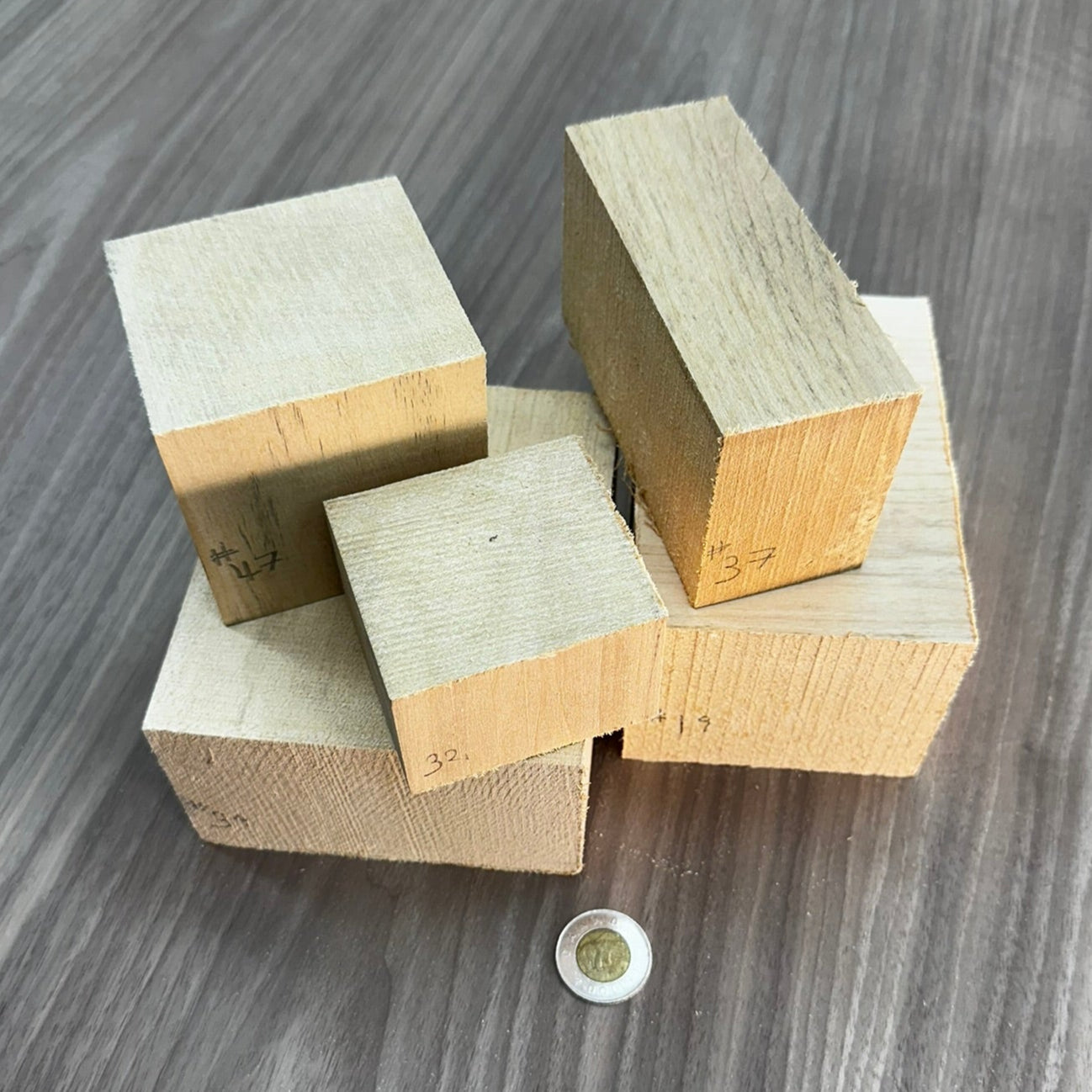 Small Carving Block Set of 5 (19, 31 32, 37, 47)