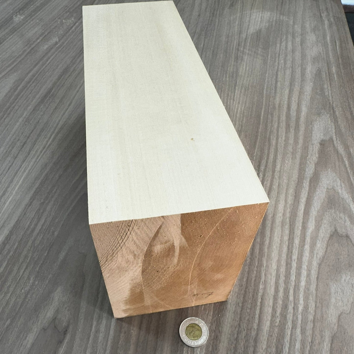 Medium Carving Block #7